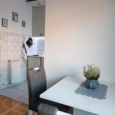 Apartment Marigold Ns Novi Sad