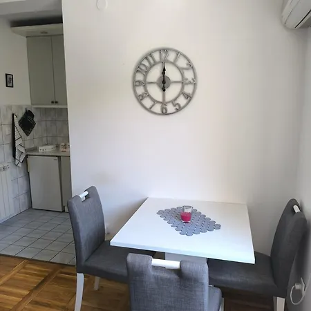 Marigold Ns Novi Sad