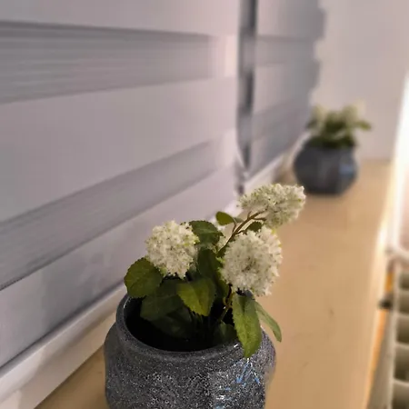 Marigold Ns Lägenhet *