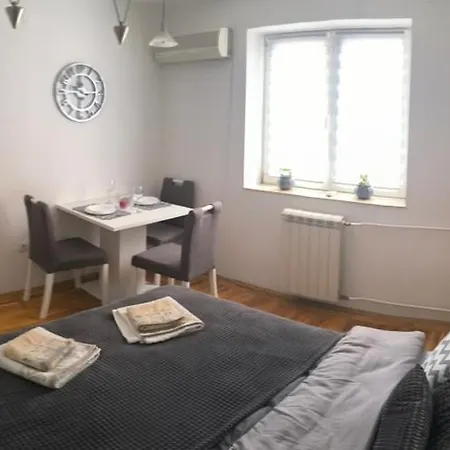 Marigold Ns * Nowy Sad